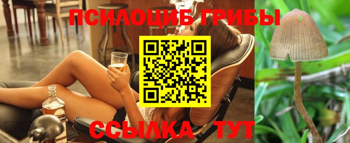 Галлюциногенные грибы мицелий Люберцы