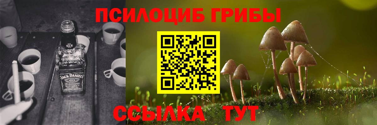 Люберцы  закладка  Вход с VPN  Галлюциногенные грибы мухоморы  Псилоцибиновые грибы мухоморы 